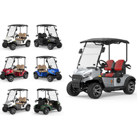 Voiturette de golf électrique professionnelle personnalisée avec logo et accessoires couleur, nouveau modèle, autonomie de 60-80 miles, pour 2 personnes, idéale pour les communautés résidentielles