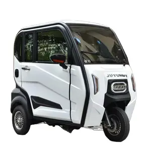 Fully Closed Adult Recreational Tuktuk Bike Electric Tricycle 3 Wheel Electric Cargo Tuk Tuk Gasoline with Cabin