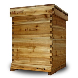 Bee keeping equipment fir wood double layer box apicultura hive for bees