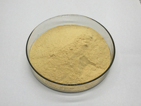 L-Lysine ISO22000, usine fournissant des prix compétitifs, lysine de qualité alimentaire et pour l'alimentation animale