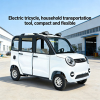 Véhicule électrique pour adultes, hautement recommandé, qualité export, mini-voiture électrique pour les trajets en ville, prix abordable, facile à conduire