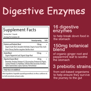 Suplemento de Enzimas Digestivas, Probióticos para la Salud Digestiva y la Salud Intestinal - Alivio del Malestar Alimentario - Product Image 2