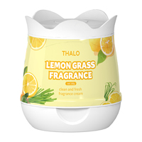 Désodorisant de voiture en gel solide 160g, parfum longue durée, diffuseur d'arômes pour la maison et la voiture