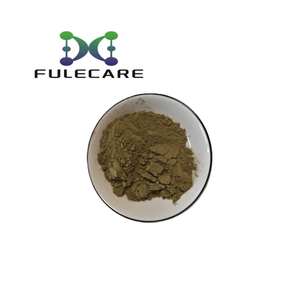 Polvo de Hoja de Guayusa, Extracto Natural de Guayusa en Polvo - Product Image 2