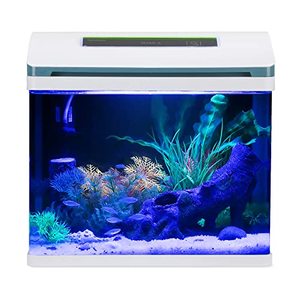 Klein Glas <span class=keywords><strong>2</strong></span> <span class=keywords><strong>Gallon</strong></span> Aquarium Zelfreinigende Led Temperatuur Display Filter Aquarium Mini Tafelblad Bekijken Goudvis <span class=keywords><strong>Tank</strong></span> - Product Image 6