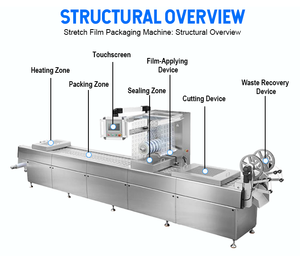 Machine de mise sous <span class=keywords><strong>film</strong></span> étirable sous vide pour œufs braisés (aliments cuits) / Machine de mise sous vide continue pour bœuf séché - Product Image 4