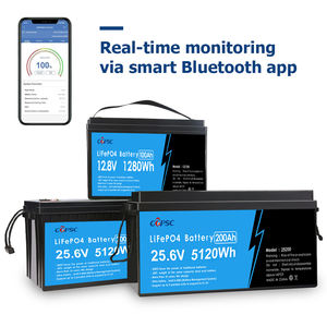Paquete de batería de iones de litio LiFePO4 de 12V y 100Ah, carrito de Golf de ciclo profundo, RV Camper, sistema de energía Solar, red marina, almacenamiento de energía para - Product Image 3