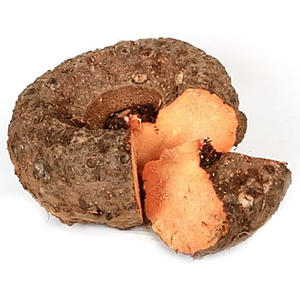 Vente Chaude 2026 : Yam d'éléphant (Suran) de qualité fraîche et naturelle pour la fabrication alimentaire, disponible à la vente par les exportateurs - Product Image 3