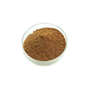 Extracto de cohosh negro de alta calidad 8% glucósidos triterpénicos Extracto de raíz de cohosh negro
