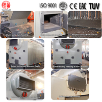 Chaudière à vapeur à bois à grille à chaîne de 0,5T 1T 2T 3T 4T 6T 8T 10T 12T 15 tonnes/h 20 tonnes/h, alimentée par des copeaux de bois biomasse