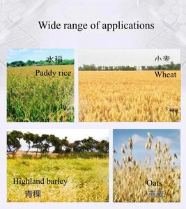 Máquina Profesional Económica para Cortar y Atar Arroz, Máquina Cosechadora de Arroz, Trigo, Avena, Precio de la Atadora de Arroz - Product Image 6