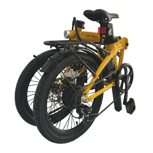 36V Lithium Battery 250W Electric Hybrid Bike Rear Hub Motor Disc Brake Ebike Cruiser Folding Foldlable Electric Bike