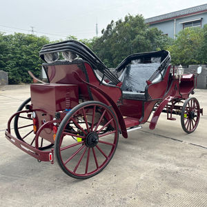Carruaje de Caballos Eléctrico de Lujo Europeo de Última Generación, Carruaje de Caballos para Bodas - Product Image 1
