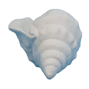 Polyresin Love Sea Conch Shell Corales Acuario para decoración Estatuilla - Product Image 5