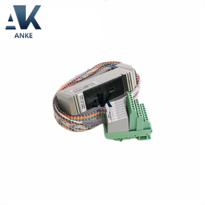 Conjunto de Cable de Terminación Foxboro FBM3A/33A P0500RU - Product Image 1