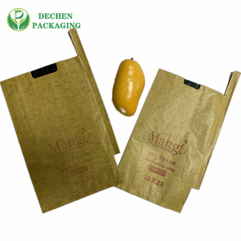 Famous Mango Protection Bag and Paper Bag Mango - Renowned &amp; High-Quality