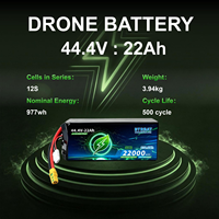 Baterai Drone Semi-solid State BTR 12S 44.4V 5C dengan 500 Siklus dan Suhu Operasi -40~60 untuk UAV Industri
