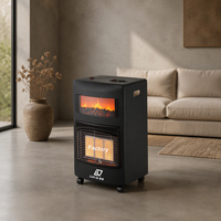 Chauffage au gaz mobile d'intérieur LUOQI à prix abordable, fourni directement par l'usine, avec décoration flamme pour usage domestique en hiver