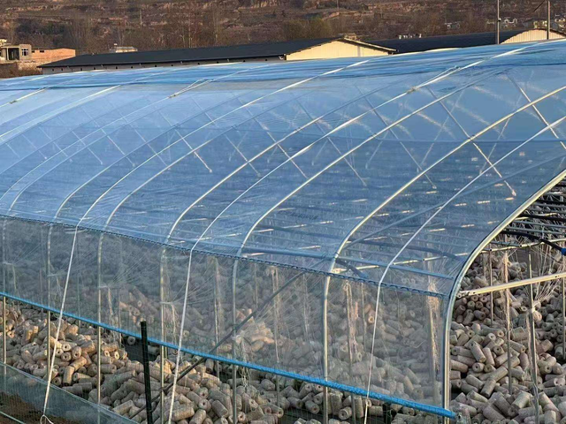 UV Resistant Anti Drip Greenhouse Plastic Sheeting Heavy Duty EVA Film for Agricultural Greenhouse EU Market