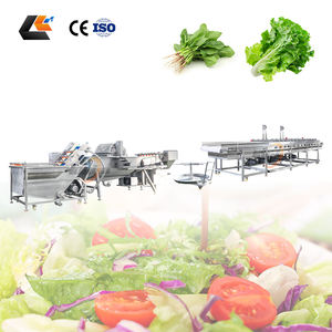 Macchine Industriali per il Lavaggio della Insalata di Finocchio, Macchina per Tagliare l'Insalata, Macchina per Confezionare Verdure, Linea per Spinaci - Product Image 6
