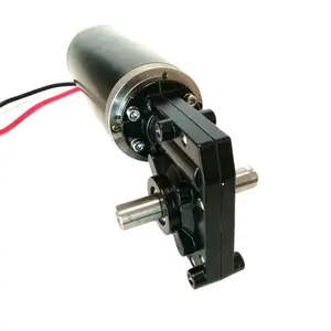 Çift sürücü dişli kutusu 12 V 100W 200W sonsuz Dc Motor dişli kutusu ile Motor 24V 12 Volt Dc