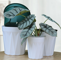 Vente en gros de pots à fleurs pour orchidées transparents, écologiques, durables, avec trou de drainage, paniers en plastique transparent pour le jardin