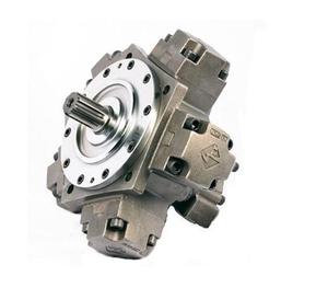 Ventes Flash : Moteur Hydraulique à Pistons Radiaux Série Dinamic RMPX (RMPX-1400/RMPX-1500/RMPX-1800/RMPX-1900/RMPX-2000/RMPX-2200) - Product Image 2