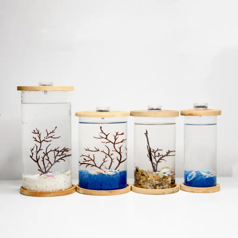 Dekorasyon masa Mini akvaryum akvaryum ile cam balık tankları