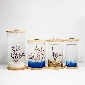 Glass Fish Tanks With Decoration Table Mini Fish Tank Aquarium
