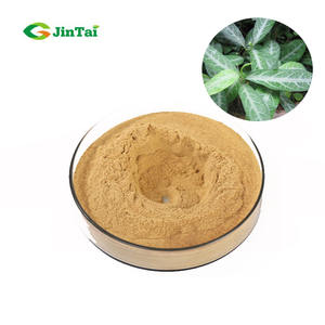 Extrait de Sauropus Rostratus, Extrait de Long <span class=keywords><strong>Li</strong></span> <span class=keywords><strong>Ye</strong></span>, Poudre de Sauropus Rostratus 10:1 - Product Image 1