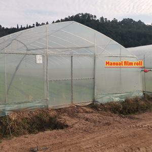 Invernadero de Túnel de Plástico Agrícola y Comercial de 8x30 Metros <span class=keywords><strong>para</strong></span> Cultivo de Vegetales, Tomates, Rosas y Lechugas - Product Image 5