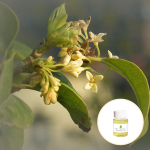 Huile de parfum en gros, marque privée, 100% pure, naturelle, biologique, huile de feuille de <span class=keywords><strong>laurier</strong></span>, huile essentielle de <span class=keywords><strong>laurier</strong></span> pour la fabrication de savon - Product Image 5