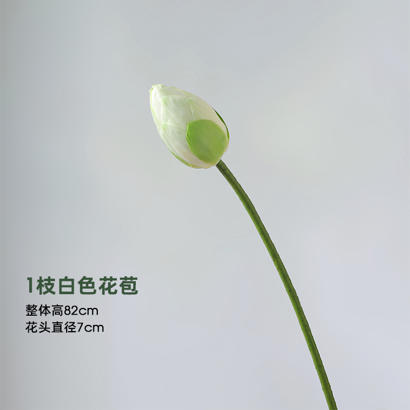 Lotus - 1 bouton blanc