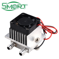 Kit complet de mini-réfrigérateur 12V à refroidissement par eau, auto-construit, avec module Peltier, pour électronique intelligente et semi-conducteurs