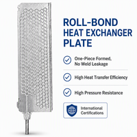 Plaque froide soufflée en alliage d'aluminium à liaison par rouleaux pour dissipation thermique de station de base 5G, spécifications personnalisées