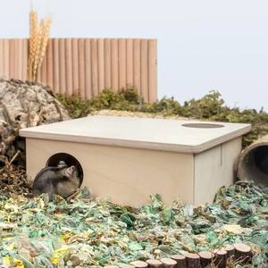 Ahşap Pet ev taşıyıcı kutu toplu sipariş kedi kulübesi köpek evi tavşan kobay Pet sıçan kafes Hamster kirpi odası için açık - Product Image 3