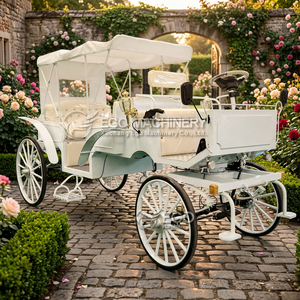 Élégante calèche blanche de tourisme, dernière calèche de mariage tirée par des chevaux, calèches électriques de tourisme d'inspiration antique à vendre - Product Image 2