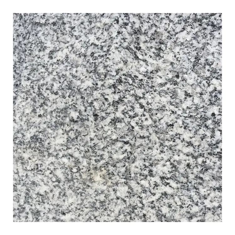 Piastrelle per pavimenti in pietre per pavimentazione G688 venature nere granito bianco grigio argento