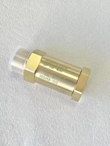 ลดราคา DH15F DN15 วาล์วกันกลับทองเหลือง วาล์วกันกลับสำหรับถังเก็บ LNG แบบจัดเก็บเป็นปริมาณมาก จัดส่งฟรี - Product Image 3