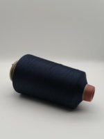 Fil à teindre en nylon 100 % confortable, anti-boulochage, haute résistance, fil DTY 24F pour chaussettes tricotées à la main et tissage