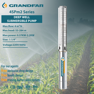 Grandfar 220V Bomba de agua agrícola sumergible profunda de acero inoxidable 0.37kw/0.55kw/0.75kw/1.1kw/1.5kw/2.2kw/3kw Variantes para - Product Image 1