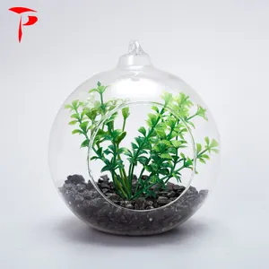 Opknoping Terrarium Glazen Vaas met Kunstmatige Vetplant