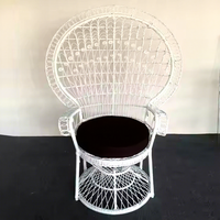 Chaise en rotin en osier pur fait à la main d'usine chaises de salon de jardin extérieur moderne chaises de paon chaise de loisirs d'intérieur de balcon de patio