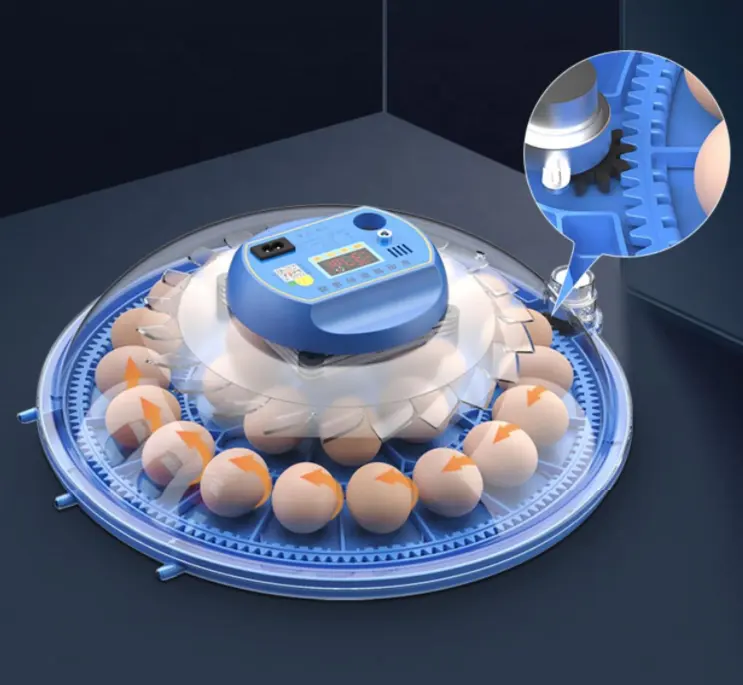 自動ミニインキュベーター鶏卵インキュベーター