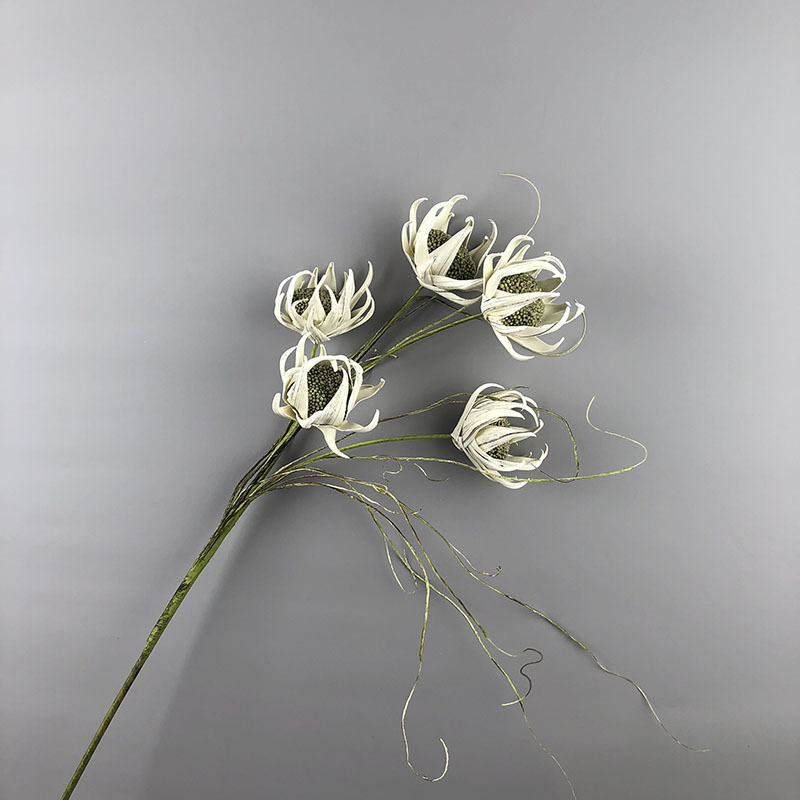 1- 5 heads sunflower-white