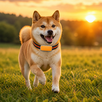Collier GPS intelligent 4G pour animaux de compagnie, suivi en temps réel, charge magnétique, étanche, moniteur de santé pour chiens et chats