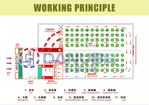 Tray Type Heat Pump Drying Chamber PLC Controlled Industrial Fruit Vegetable Herb Seafood Dehydrator - Product Image 6