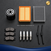 Pièces de rechange pour Geely Emgrand EC7 EC8 GL GS GSe EV Pro L : filtre à carburant, radiateur, bougie d'allumage, maître-cylindre