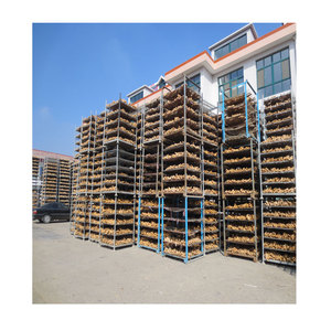 2025 tươi gừng giá rẻ giá hăng và ngon Trung Quốc Nhà cung cấp chất lượng cao gừng giá bán buôn - Product Image 2