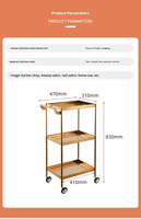 Chariot de rangement de salon en acier inoxydable à 3 niveaux, 4 roues, argenté, écologique, design minimaliste, pour salons et hôtels (vente en gros)